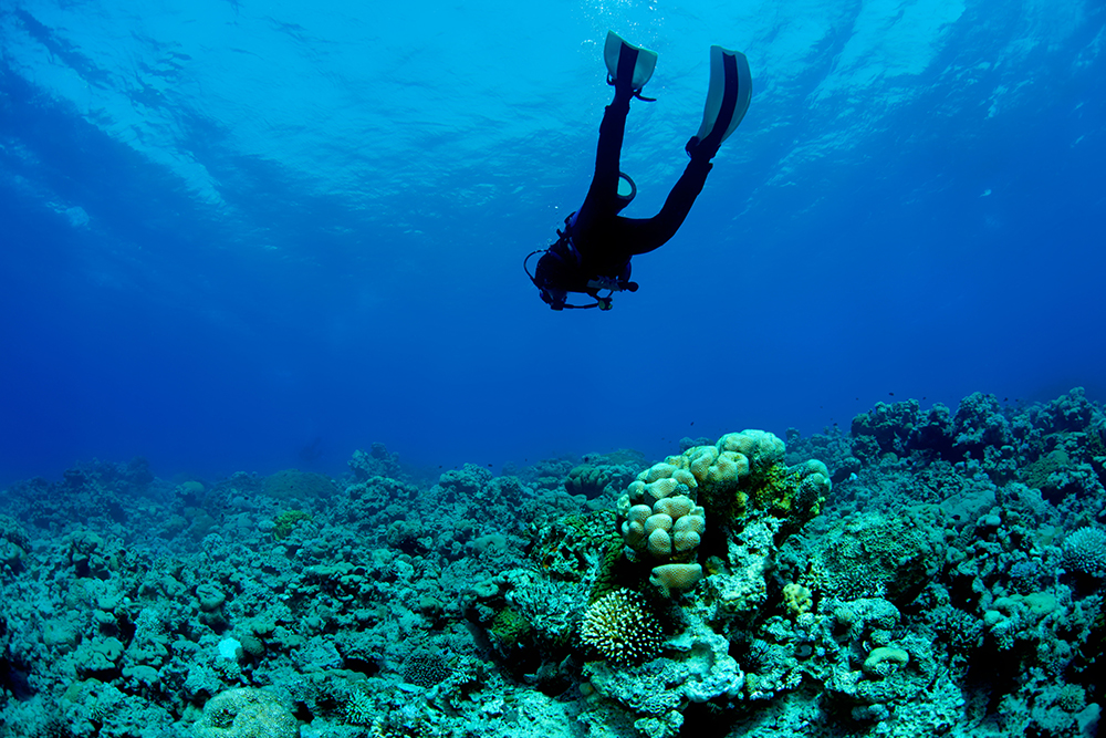 Scuba Diver and Coral Reef